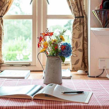 Traditional Stone Cottage With Sea Views In Snowdonia National Park Brynkir 外观 照片