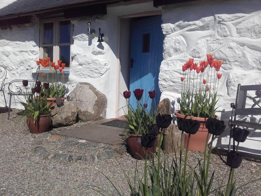 Traditional Stone Cottage With Sea Views In Snowdonia National Park Brynkir 外观 照片
